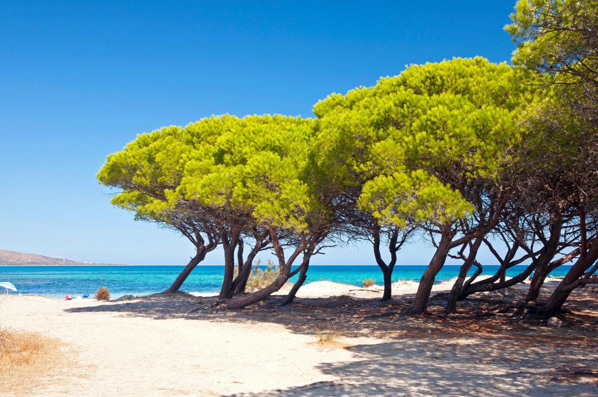 فندق Futura Club Cala Fiorita Agrustos المظهر الخارجي الصورة